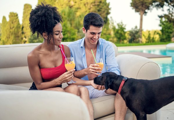 Optimisez votre plaisir en camping 5 étoiles