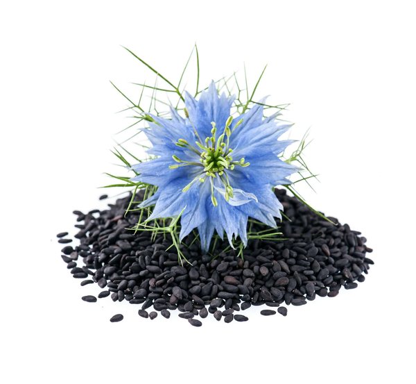 Où trouver les meilleurs codes promo pour des produits à base de nigelle ?
